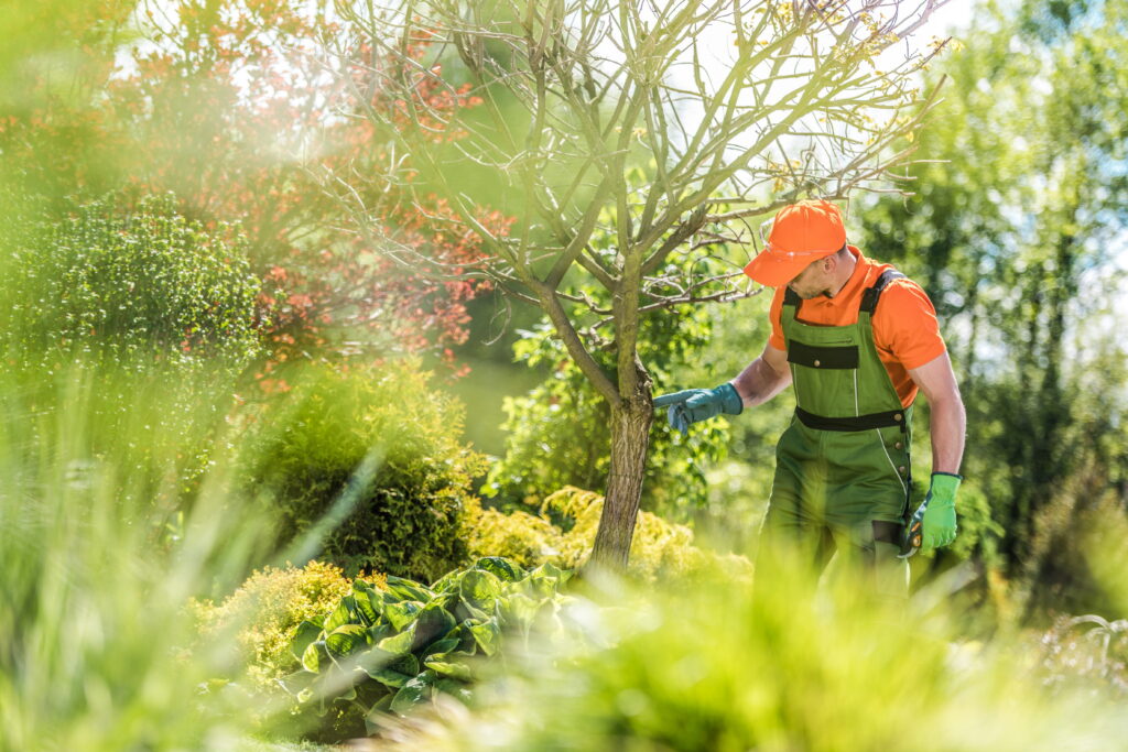 SBT Gartengestaltung Nettetal